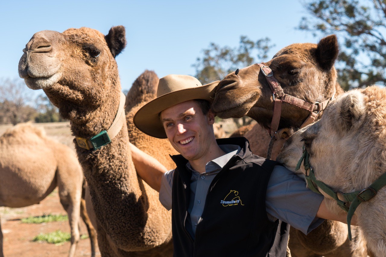 Max Bergman at his farm, standing with three of his camels.